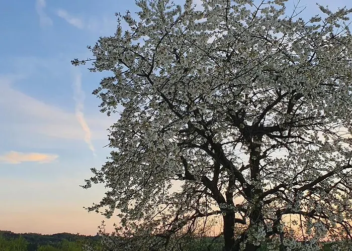 Agroturismo Skalny Widok